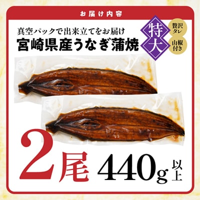 宮崎県育ちのうなぎ蒲焼2尾440g以上(大きいサイズ)≪山椒・たれ付≫(都城市)