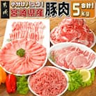 宮崎県産【豚肉5kgセット】(都城市)