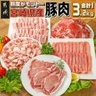 宮崎県産【豚肉3.2kgセット】(都城市)