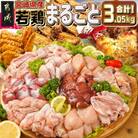 宮崎県産【若鶏まるごと3.05kgセット】(都城市)