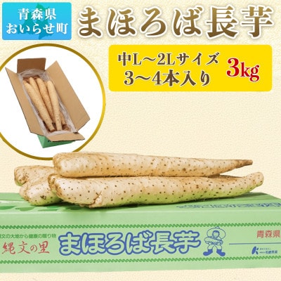 【青森県おいらせ町】まほろば長芋3kg(中L～2Lサイズ 3～4本)
