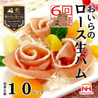 【毎月定期便】おいらの生ハム ロース生ハム おまとめ セット 計 10パック全6回