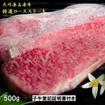 大川原高原牛特選ロースステーキ500g(250g×2) | ふるさと納税のお礼品