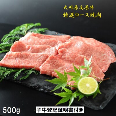 大川原高原牛特選ロース焼肉500g | ふるさと納税のお礼品