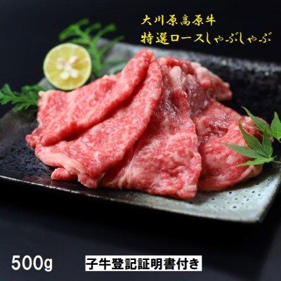 大川原高原牛特選ロースしゃぶしゃぶ500g | ふるさと納税のお礼品