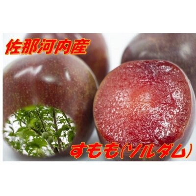 佐那河内産すもも ソルダム 2パック 22年6月下旬頃から発送 お礼品詳細 ふるさと納税なら さとふる