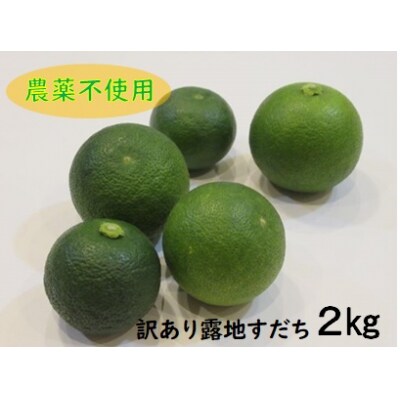 訳あり【B級】　露地スダチ2kg　※2023年8月下旬頃から発送　 | ふるさと納税のお礼品
