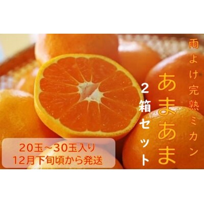 徳島すだち鯛塩ラーメン(生) ※1箱(2人前) | お礼品詳細 | ふるさと納税