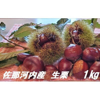 佐那河内産　生栗1kg(サイズ混合)　※10月頃から発送　 | ふるさと納税のお礼品