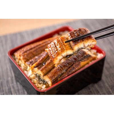 大型サイズ ふっくら柔らか国産うなぎ蒲焼き 3尾