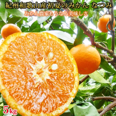 【高野町】初夏のみかん　なつみ5kg