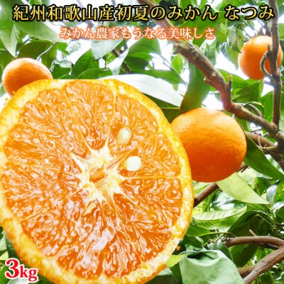 初夏のみかん　なつみ3kg