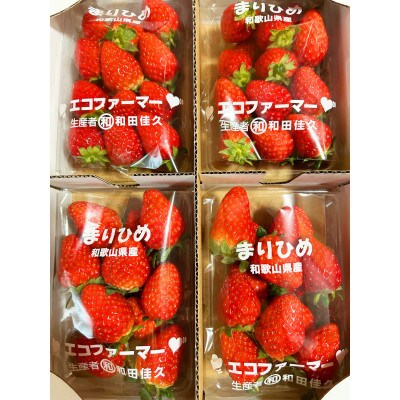 紀州和歌山ブランドいちご「まりひめ」約250g×4P