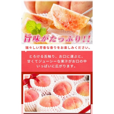 紀州和歌山産の桃　15玉　化粧箱入