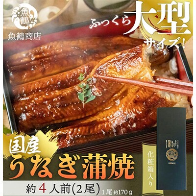 【毎月定期便】魚鶴商店が選ぶオススメお礼品B(熊野牛・田村そだちセット・うなぎ蒲焼)全3回