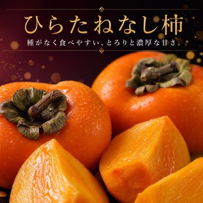 【発送月固定定期便】紀州和歌山産旬のフルーツセット(桃・ピオーネ・ひらたねなし柿)全3回