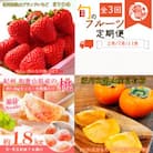 【発送月固定定期便】紀州和歌山産旬のフルーツセット(いちご・桃・富有柿)全3回
