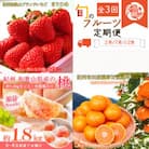 【発送月固定定期便】紀州和歌山産旬のフルーツセット(いちご・桃・有田みかん)全3回