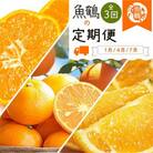 【発送月固定定期便】紀州和歌山産旬のフルーツセット(みかん・なつみ・バレンシア)全3回