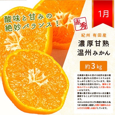 【発送月固定定期便】紀州和歌山産旬のフルーツセット(みかん・なつみ・バレンシア)全3回