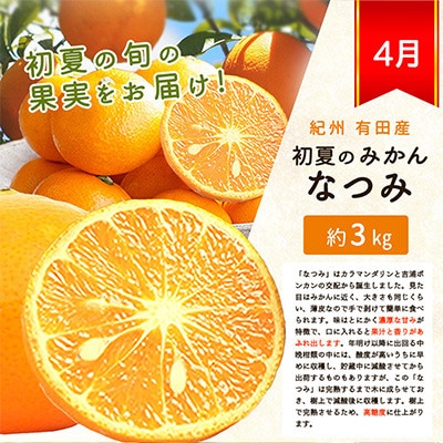 【発送月固定定期便】紀州和歌山産旬のフルーツセット(みかん・なつみ・バレンシア)全3回