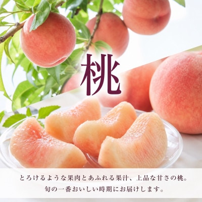 【発送月固定定期便】紀州和歌山産旬のフルーツセット(桃・梨・ピオーネ)全3回