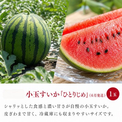 【発送月固定定期便】紀州和歌山産旬のフルーツセット(セミノール・スイカ・桃)全3回