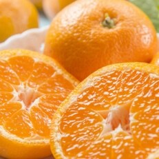 【産直】下津の早生みかん 約6kg(2Lサイズ)