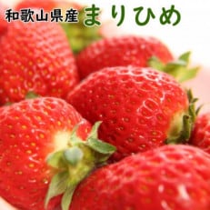 2025年1月より順次発送和歌山県産ブランドいちご「まりひめ」約300g&times;2パック入り(高野町)