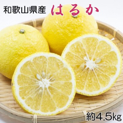 【さわやか柑橘】和歌山県産はるかみかん約4.5kg(サイズ混合　秀品)【高野町】