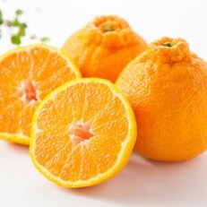 【お味濃厚】紀州有田産の大玉デコポン約5kg(12玉～15玉入り)(高野町)
