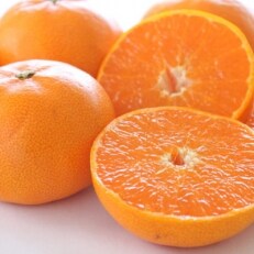 一度は食べていただきたい!「有田産のせとか」約4kg～5kg(サイズおまかせ・青秀以上)