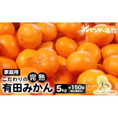 【25年10月より順次発送】完熟有田みかん5kg+150g(傷み補償分)ご家庭用nuk004-c-5