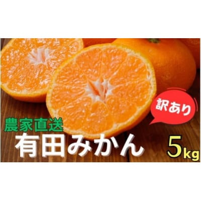 【25年10月～順次発送】【訳あり】有田みかん約5kg サイズ混合nuk004-noka-c5A