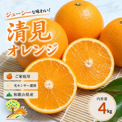 清見オレンジ みずみずしい果汁 約4kg (SS～2L混合サイズ) (nuk011-r-4)