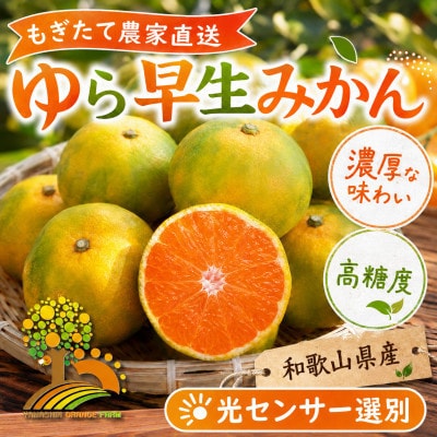 濃厚な味わいゆら早生みかん 約2kg (nuk003-yura-2)