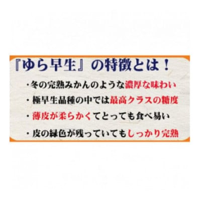 濃厚な味わいゆら早生みかん 約2kg (nuk003-yura-2)