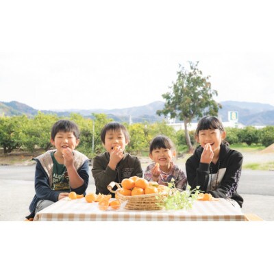 「先行受付」田村みかん 約5kg入 (2L~3L サイズおまかせ)