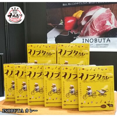 【和歌山県高野町】F1 イノブタ カレー8個