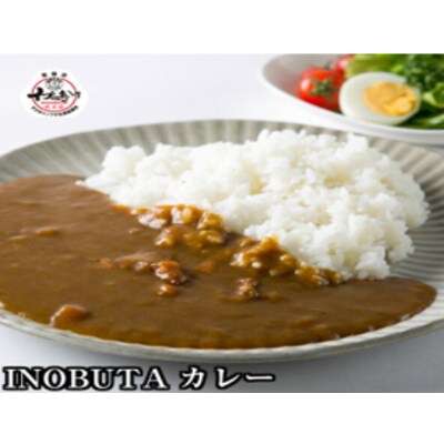 【和歌山県高野町】F1 イノブタ カレー8個