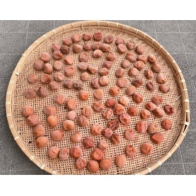 2025/6月より発送【梅干し・梅酒用】紀州和歌山の熟南高生梅　MorL-10kg 