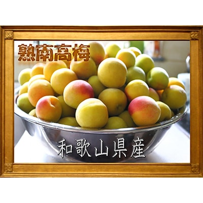 2026/6月より発送【梅干し・梅酒用】紀州和歌山の熟南高生梅3Lor2L-2kg