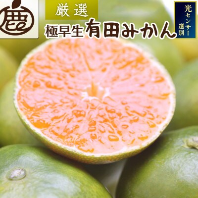 <9月より順次発送>厳選 極早生有田みかん4kg+120g(傷み補償分)【YN26・ゆら早生】