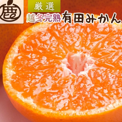 <1月より順次発送>厳選 越冬完熟みかん2kg+60g(傷み補償分)【ハウスみかん・光センサー選果】