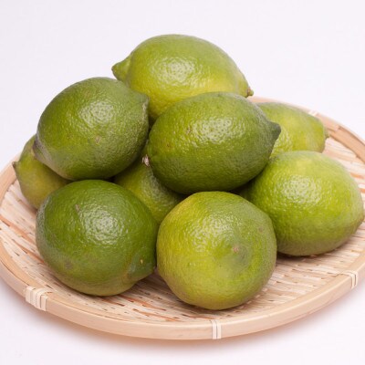 <9月より順次発送>厳選黒潮レモン5kg+150g(傷み補償分)【和歌山有田・防腐剤・WAX不使用】