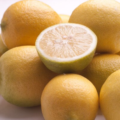 <9月より順次発送>厳選黒潮レモン5kg+150g(傷み補償分)【和歌山有田・防腐剤・WAX不使用】