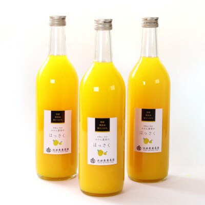 無添加はっさくジュース720ml×3本【100%ジュース・ストレートジュース】【柑橘・果汁】