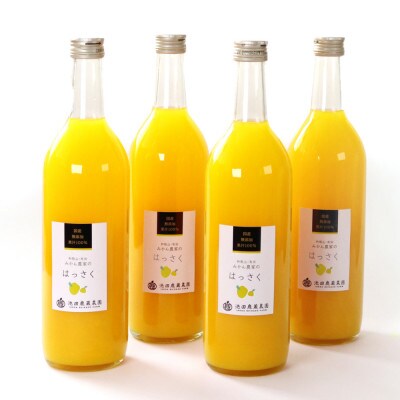 無添加はっさくジュース720ml×4本【100%ジュース・ストレートジュース】【柑橘・果汁】