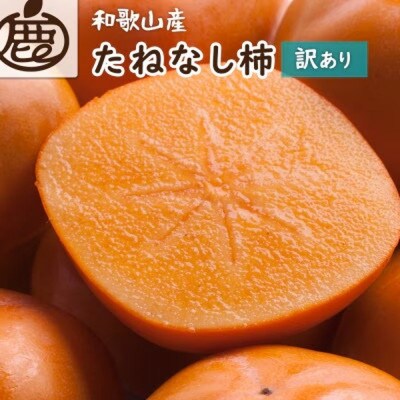 【訳あり・家庭用】たねなし柿 約5kg【刀根早生・平核無柿(ひらたねなしかき)】