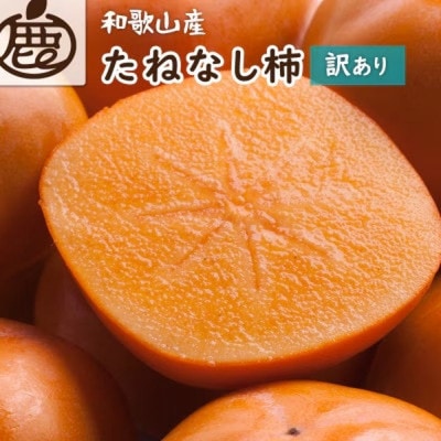 【訳あり・家庭用】たねなし柿 約10kg【刀根早生・平核無柿(ひらたねなしかき)】